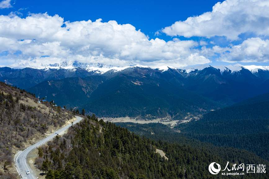 圖為在海拔4700多米的色季拉山，觀測(cè)從森林到草甸的多種植被類型。
