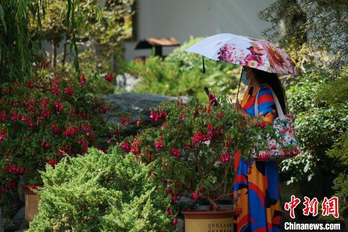 圖為市民在西寧園林植物園內賞花拍照?！●R銘言 攝