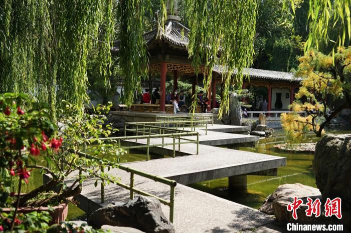 圖為西寧園林植物園秋日風景別有韻味?！●R銘言 攝