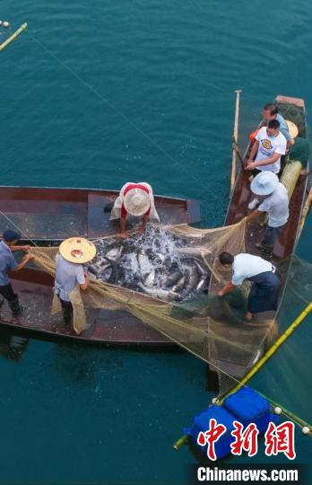 捕魚現(xiàn)場?！≈鬓k方供圖