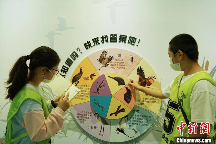 圖為小朋友在青海西寧湟水國家濕地公園科普館內(nèi)參觀學習。　馬銘言 攝