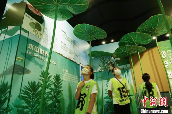 圖為小朋友在青海西寧湟水國家濕地公園科普館內(nèi)參觀學習。　馬銘言 攝