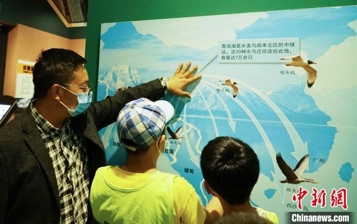圖為小朋友在青海西寧湟水國家濕地公園科普館內(nèi)參觀學習?！●R銘言 攝