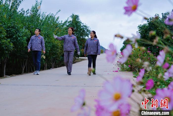 圖為張錦梅(中)與同事在西寧北山查看丁香樹?！●R銘言 攝