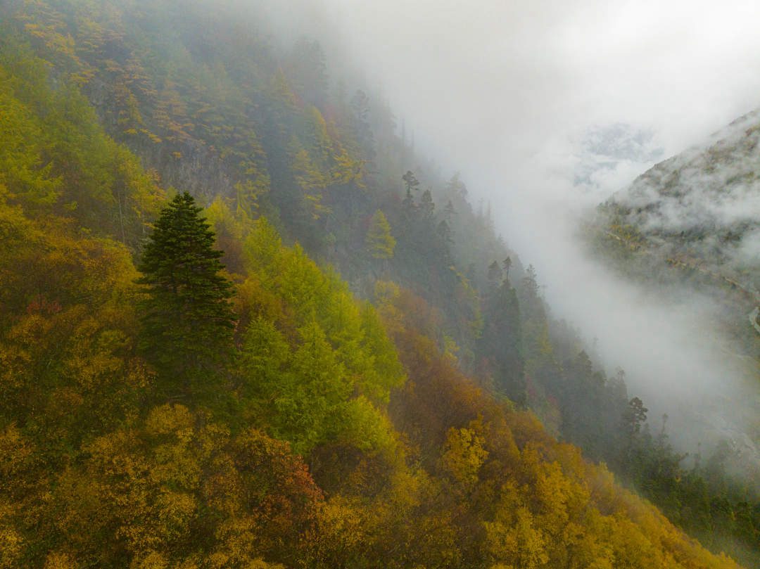 云纏霧繞，層林盡染。