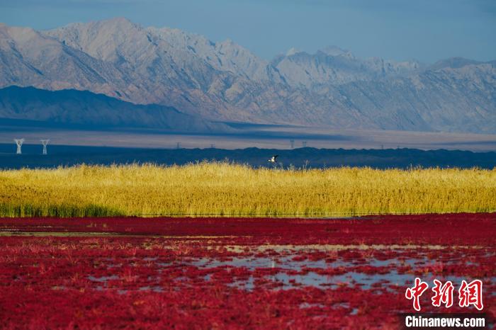 圖為柴達(dá)木盆地可魯克湖?！」?攝