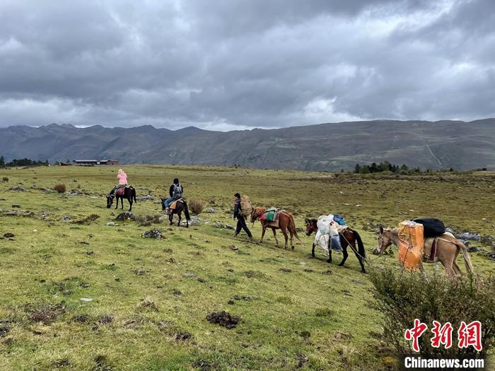 圖為9月26日游客騎馬領(lǐng)略尼汝村高原牧場風(fēng)光。 <a target='_blank' href='/'><p  align=