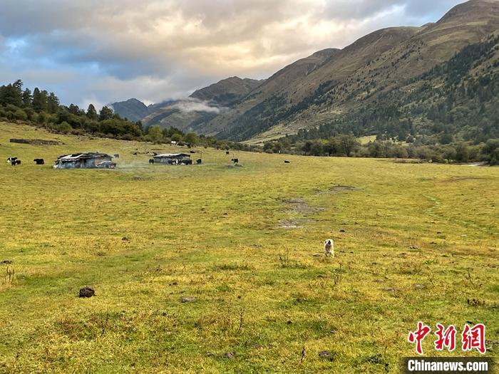 圖為9月27日新沾牧場的早晨景色。 <a target='_blank' href='/'><p  align=