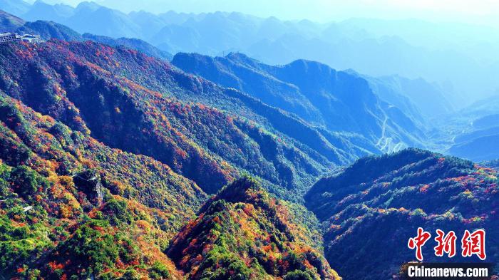 巴山大峽谷彩林迎來最佳觀賞期?！埰?攝