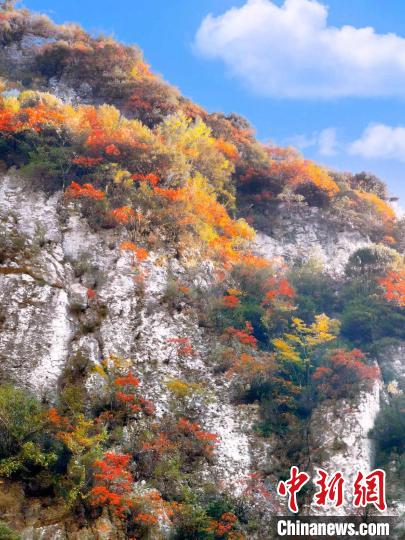 彩林色彩斑斕?！≈炱桨?攝