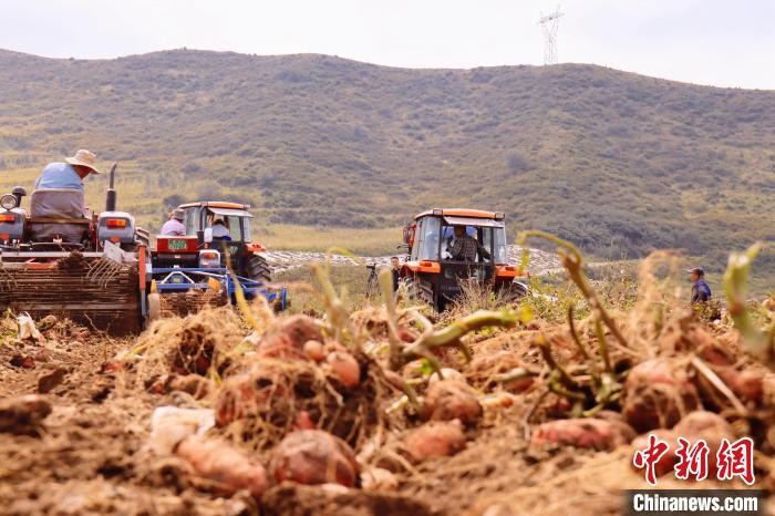青海東部農業(yè)區(qū)：“一分川、一分水、八分山”里“刨金記”