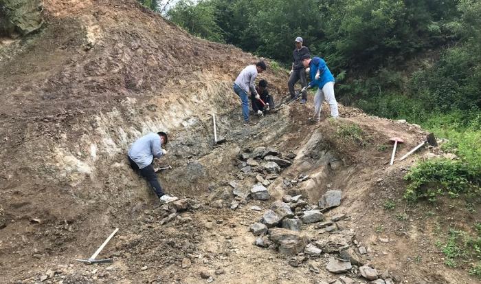 2018年玉海翼角魚野外發(fā)掘采集現(xiàn)場?！∩w志琨 攝