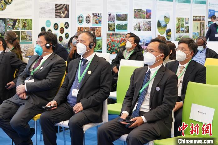 圖為極小種群物種和生物多樣性保護(hù)邊會(huì)現(xiàn)場(chǎng)。　云南省林業(yè)和草原局供圖