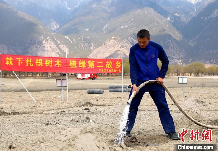 林芝市巴宜區(qū)森林消防中隊(duì)志愿服務(wù)隊(duì)澆水灌溉?！∥骼@拉翁 攝