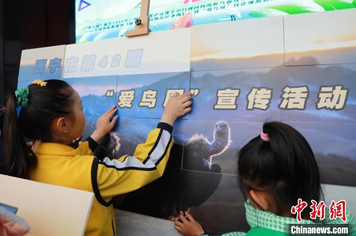 圖為學(xué)生通過拼圖游戲了解鳥類知識?！●R銘言 攝