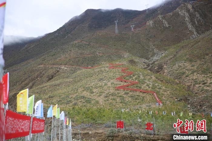 圖為拉薩南北山綠化工程拉薩曲水縣才納村5號(hào)片區(qū)?！∝暣_ 攝