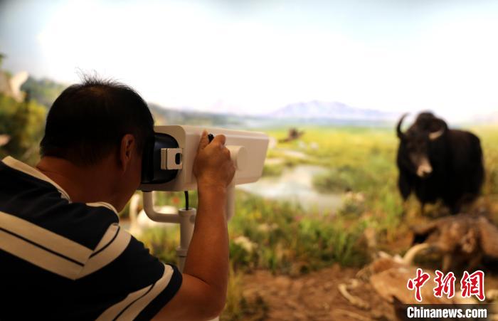圖為臺商觀看祁連山國家公園生態(tài)科普館內(nèi)生態(tài)場景?！⊙Φ?攝