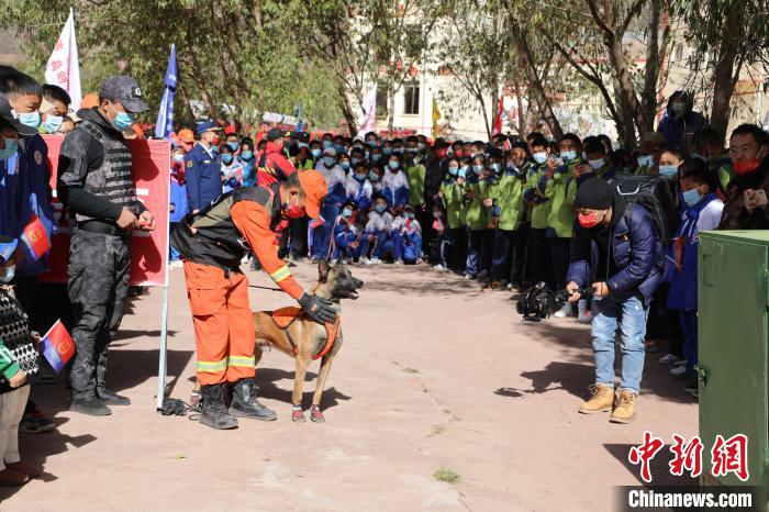 圖為搜救犬服從和箱體搜救演練?！≮w琳 攝
