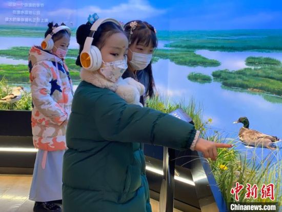 圖為學(xué)生在西寧市第一中學(xué)濕地科普宣教館內(nèi)參觀?！±罱瓕?攝