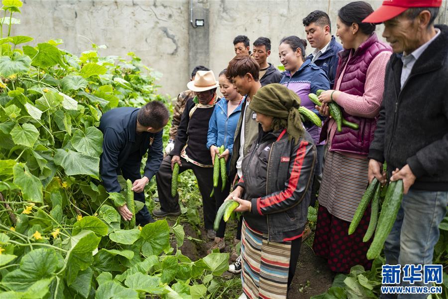 （新華全媒頭條·走向我們的小康生活·圖文互動）（9）扎西德勒，我們的新家園——西藏易地扶貧搬遷搬出幸福美好新生活