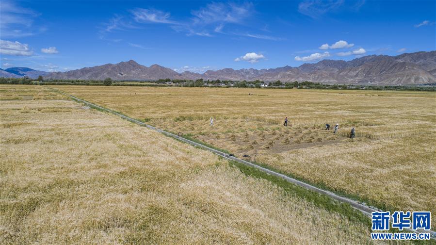 （新華全媒頭條·走向我們的小康生活·圖文互動）（11）扎西德勒，我們的新家園——西藏易地扶貧搬遷搬出幸福美好新生活