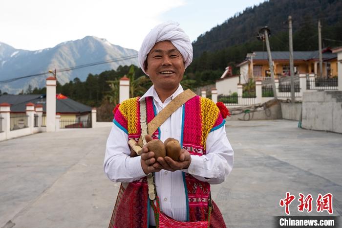 1月29日，京都村委會主任阿胖正在展示該村種植的獼猴桃。<a target='_blank' ><p  align=