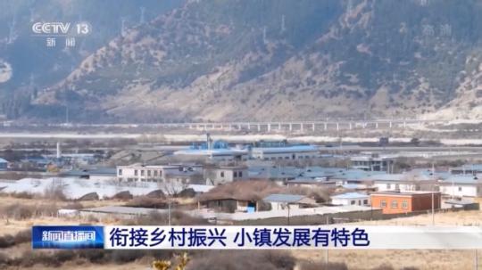 種蘑菇、養(yǎng)駱駝...。。特色產(chǎn)業(yè)助力鄉(xiāng)村振興走新路