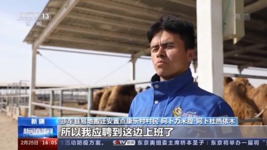 種蘑菇、養(yǎng)駱駝...。。特色產(chǎn)業(yè)助力鄉(xiāng)村振興走新路