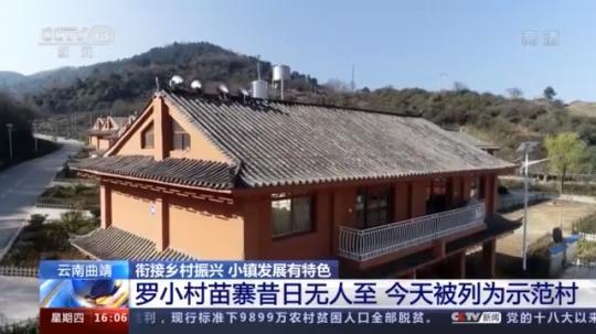 種蘑菇、養(yǎng)駱駝...。。特色產(chǎn)業(yè)助力鄉(xiāng)村振興走新路