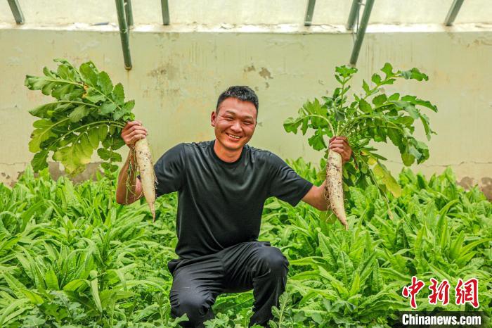 西藏阿里門士邊境派出所民警兼職大棚種植、豐富牧民餐桌