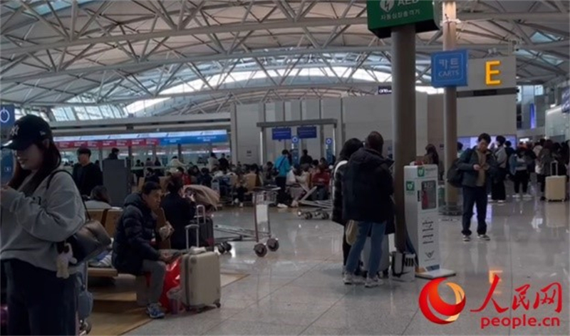 11月29日，繁忙的仁川機(jī)場(chǎng)。人民網(wǎng) 李帆攝