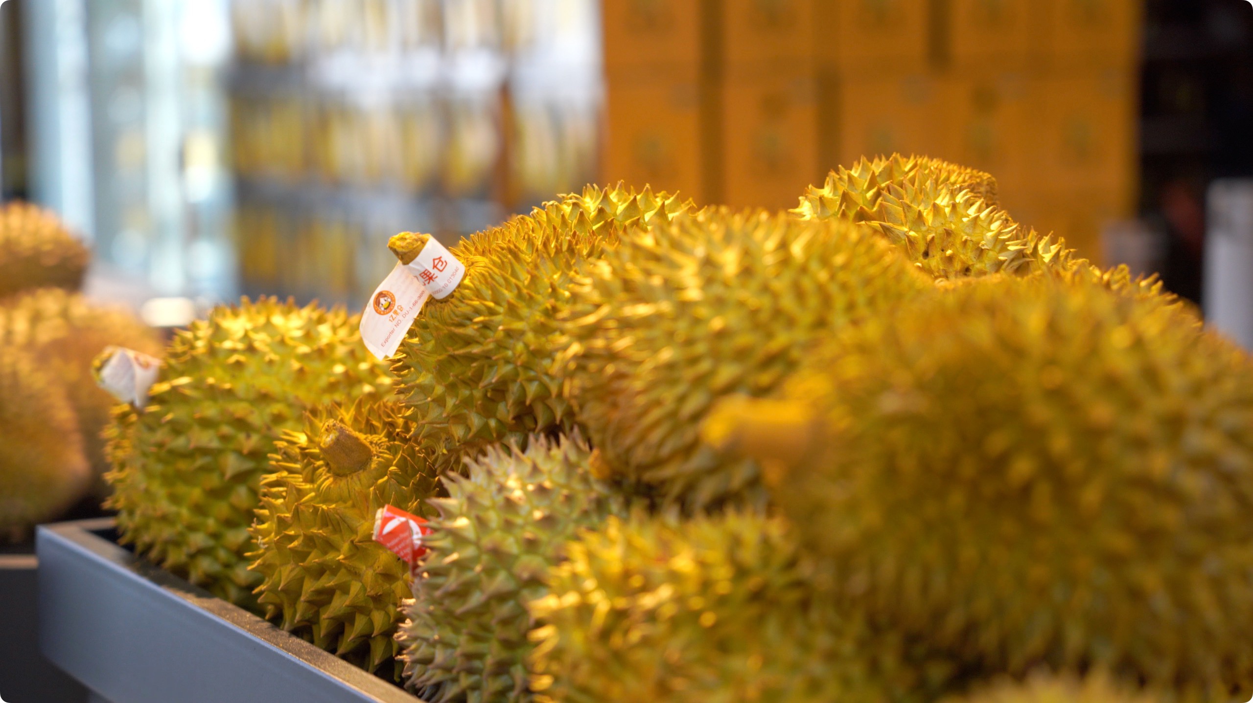 5月初，人民網(wǎng)記者申佳平攝