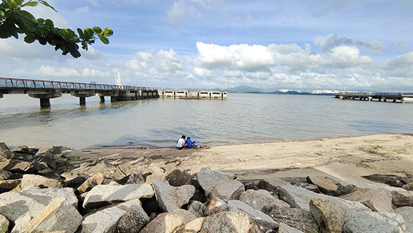 深圳紅樹林灘涂，留給了孩子們親近自然的空間。人民網(wǎng)記者 李彤?dāng)z