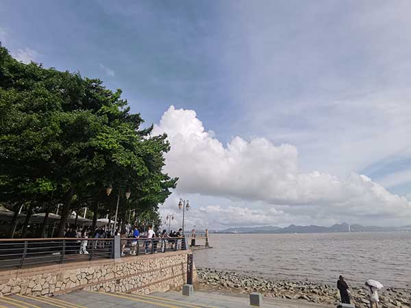 紅樹林灘涂沿線一角。人民網(wǎng)記者 張素玲攝