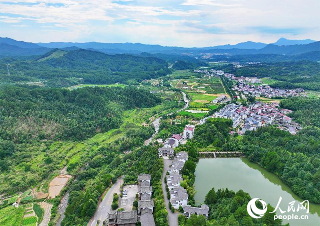 資溪縣森林資源豐富，森林覆蓋率達(dá)87.7%，有林地資源168萬畝。人民網(wǎng) 朱海鵬攝