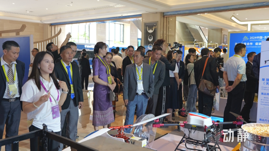 展示成果分享經(jīng)驗(yàn)，中國—東盟教育交流周深化合作共創(chuàng)未來！