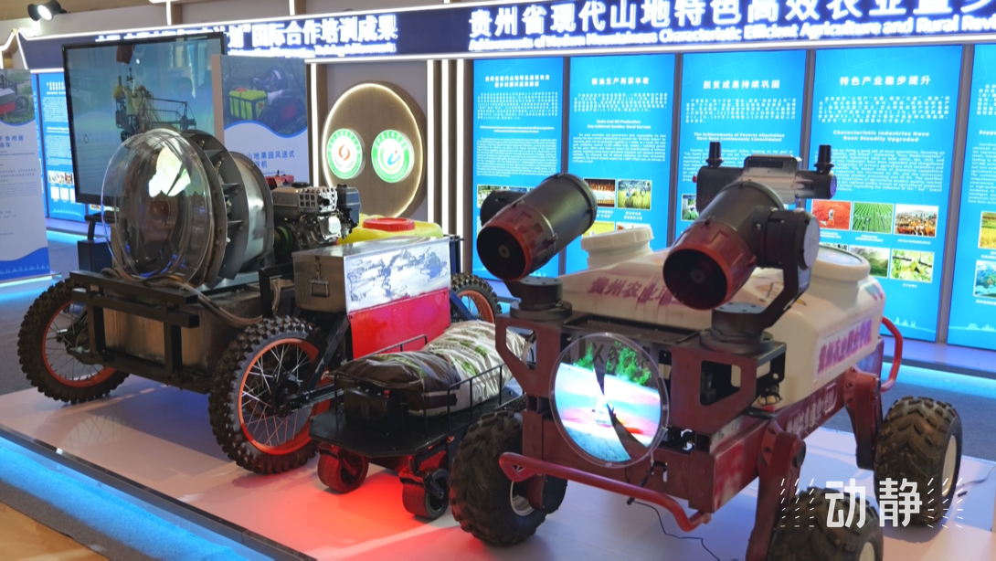 展示成果分享經(jīng)驗(yàn)，中國—東盟教育交流周深化合作共創(chuàng)未來！