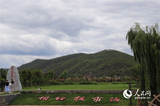 麗江市拉市海景區(qū)。 人民網(wǎng)記者 程浩攝
