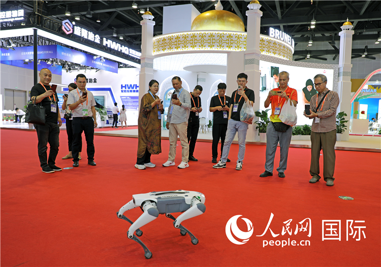 東博會(huì)上，觀眾正在參觀一只機(jī)器狗。綠色能源、新能源汽車、綠色農(nóng)產(chǎn)品等成為本屆東博會(huì)觀眾關(guān)注的焦點(diǎn)。人民網(wǎng)記者 趙益普攝