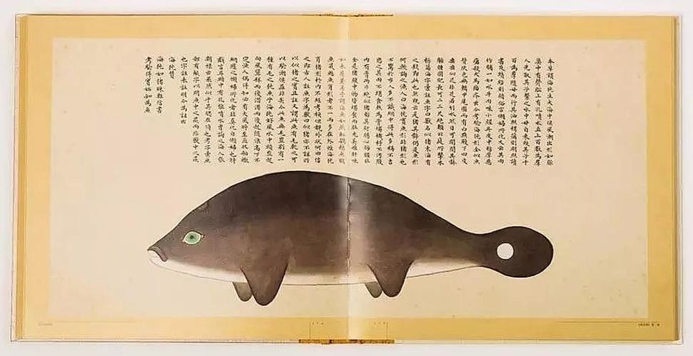 文化中國行 長江之歌丨微笑的江豚，從四千年前“游”來