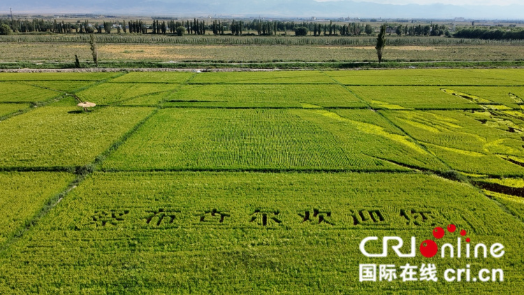 圖片默認標(biāo)題_fororder_圖片1