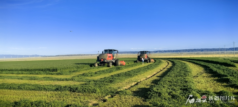 mmexport1754813379026