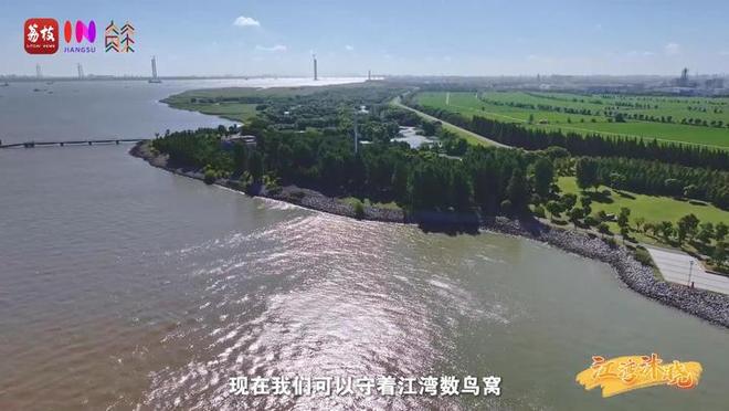 “縣”在起筆 青綠繪江山 | 江灣沐曉：褪去“銹色”走“金線”，繡出生態(tài)與產(chǎn)業(yè)“雙面錦”