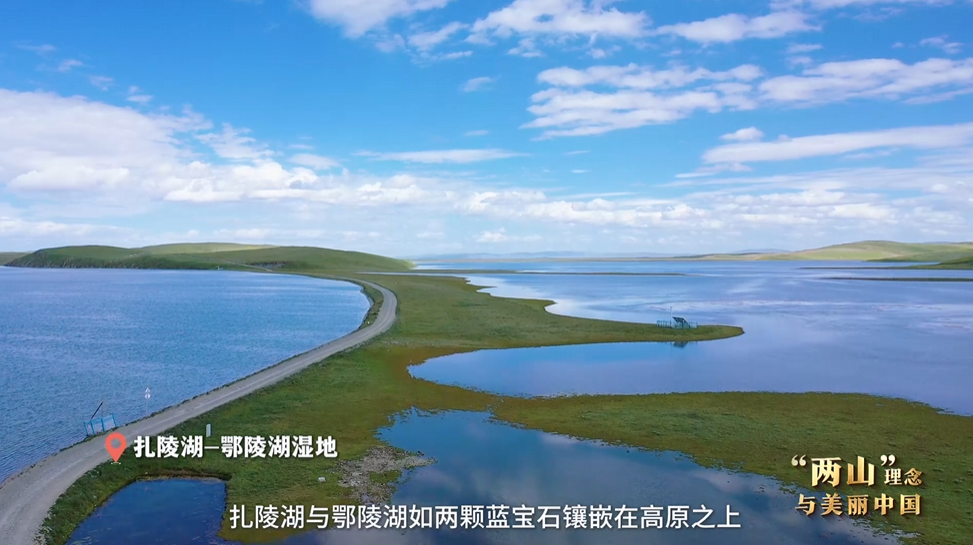 “兩山”理念與美麗中國(guó)丨濕地與候鳥(niǎo)，一場(chǎng)歲歲年年的相守