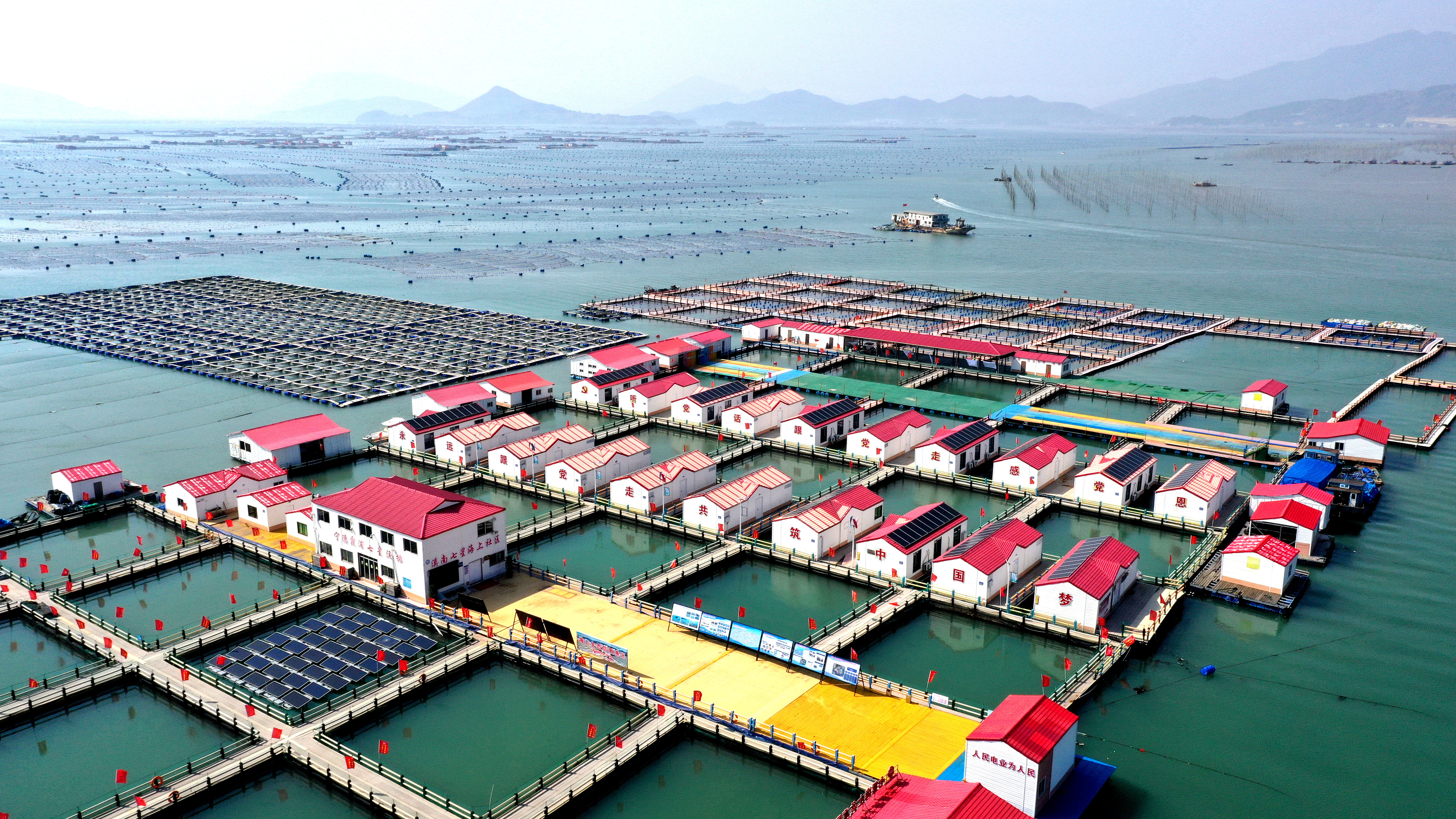 2024年3月20日，福建省寧德市，霞浦縣溪南鎮(zhèn)七星村漁排養(yǎng)殖示范區(qū)，漁民駕駛養(yǎng)殖船進(jìn)行海參養(yǎng)殖作業(yè)。