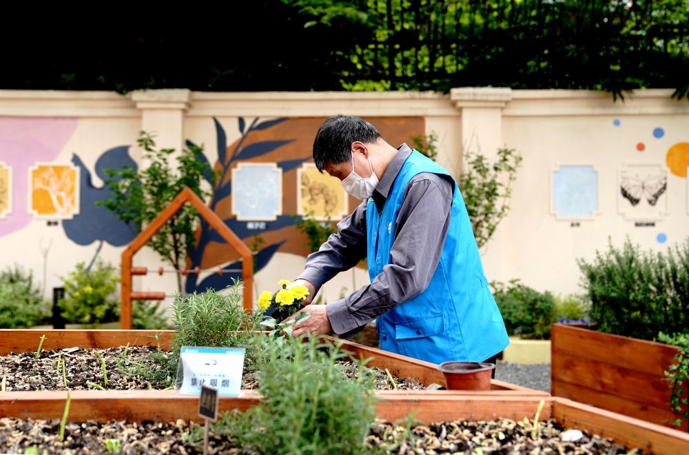 上海市長(zhǎng)寧區(qū)虹旭小區(qū)居民在整理改造社區(qū)花園。居民們把堆肥箱里發(fā)酵出來的“綠色材料”和土壤拌在一起鋪在種植箱中（2020年4月22日攝）。新華社記者 張建松 攝