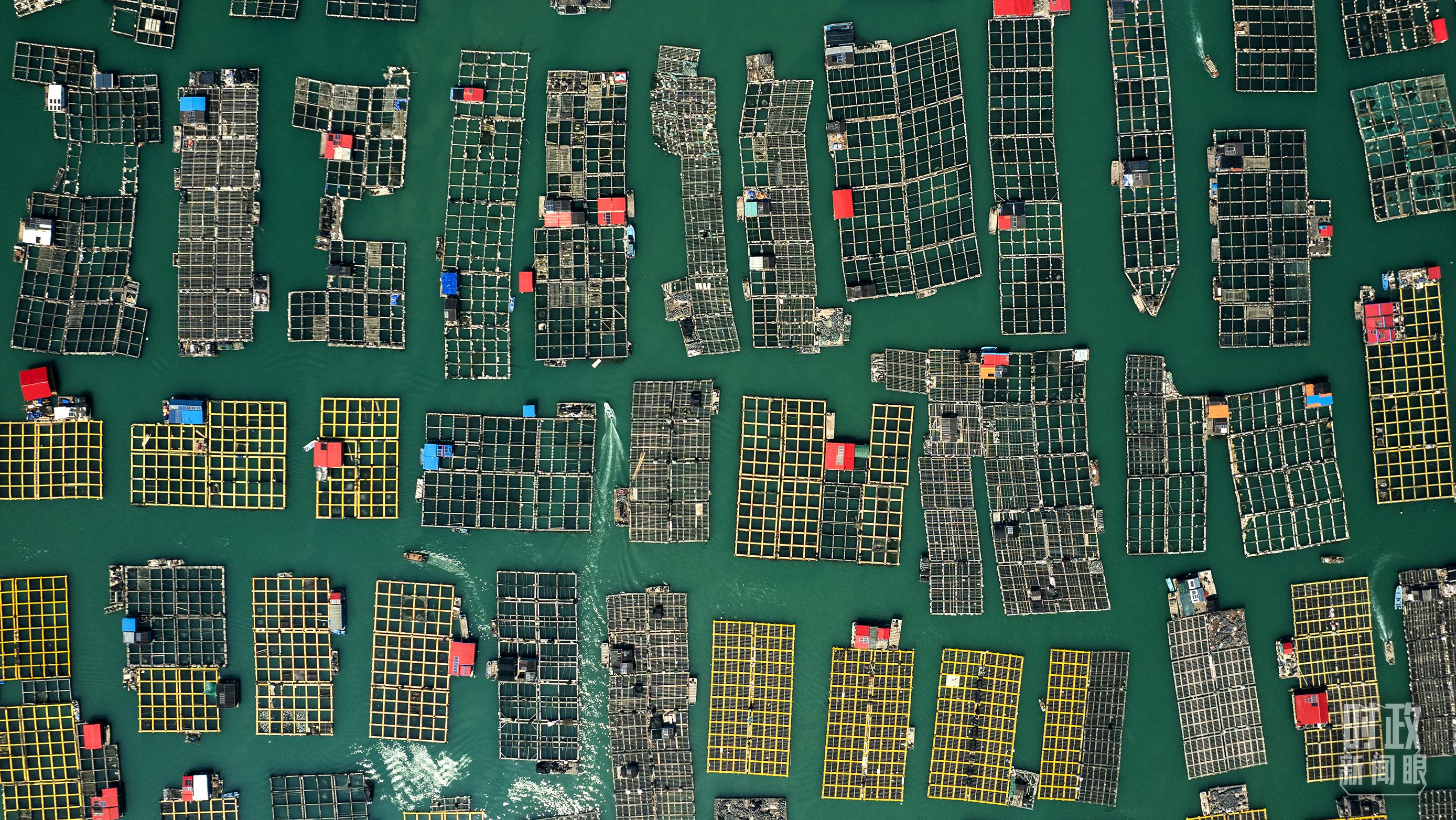 △澳角村。（總臺(tái)記者李晉拍攝）