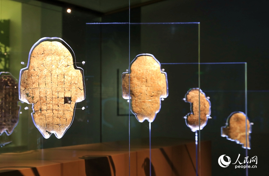 殷墟博物館展出的甲骨文。人民網(wǎng)記者 慎志遠(yuǎn) 攝