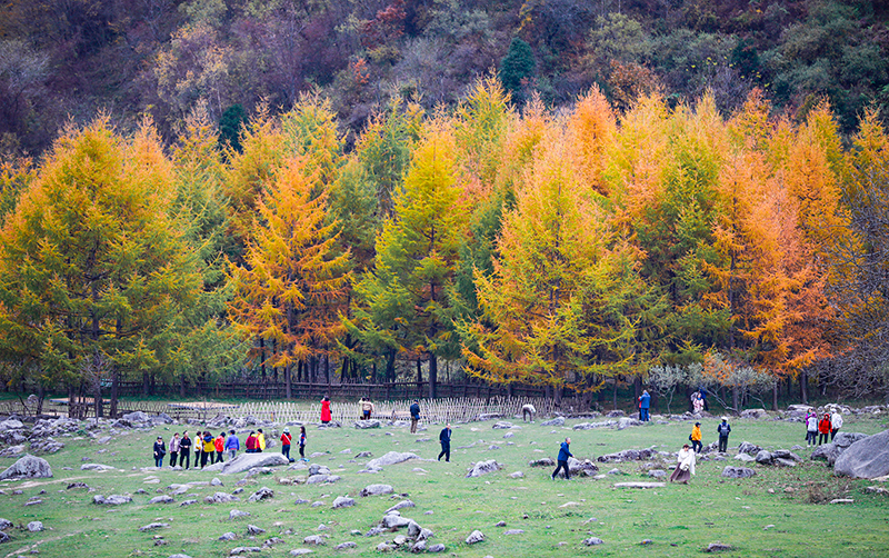 2023年10月27日，深秋時節(jié)的陜西秦嶺太子嶺漫山紅黃、色彩交織，進(jìn)入最佳觀賞期。