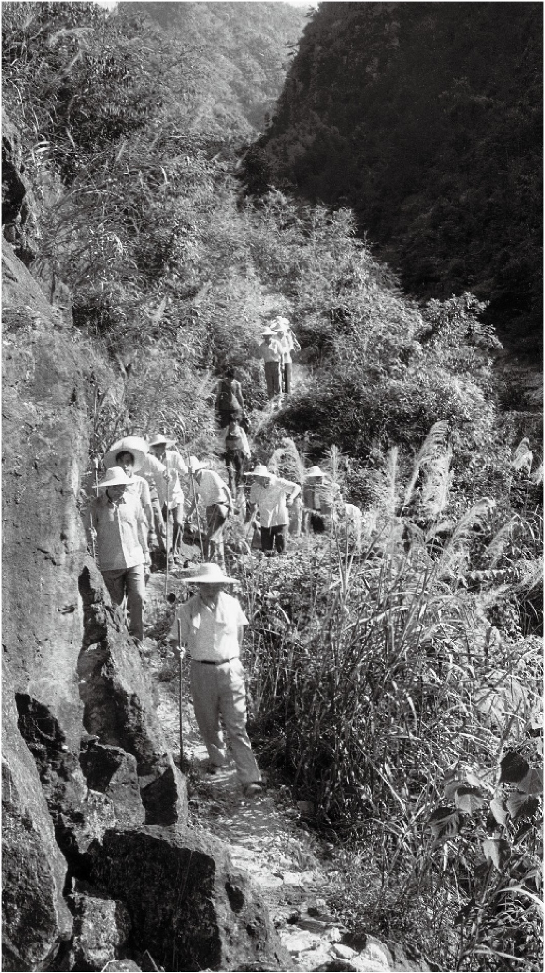 1989年7月，習近平一行到壽寧縣下黨鄉(xiāng)調(diào)研。